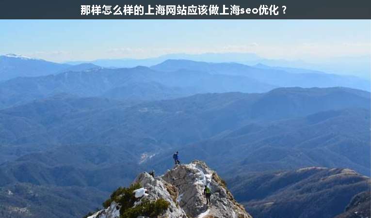 那樣怎么樣的上海網(wǎng)站應(yīng)該做上海seo優(yōu)化？
