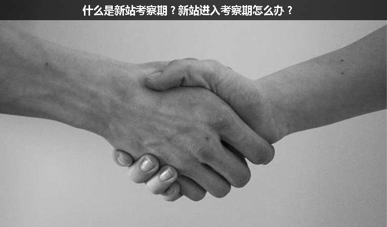 什么是新站考察期？新站進(jìn)入考察期怎么辦？
