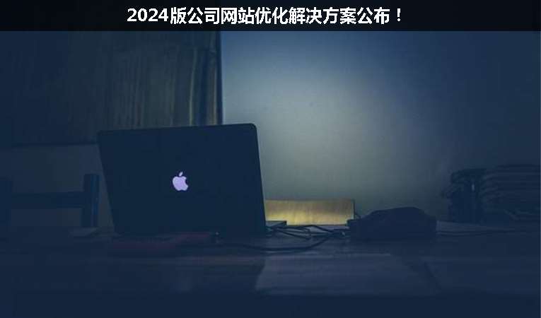 2024版公司網(wǎng)站優(yōu)化解決方案公布！