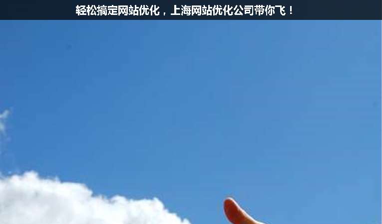輕松搞定網(wǎng)站優(yōu)化，上海網(wǎng)站優(yōu)化公司帶你飛！